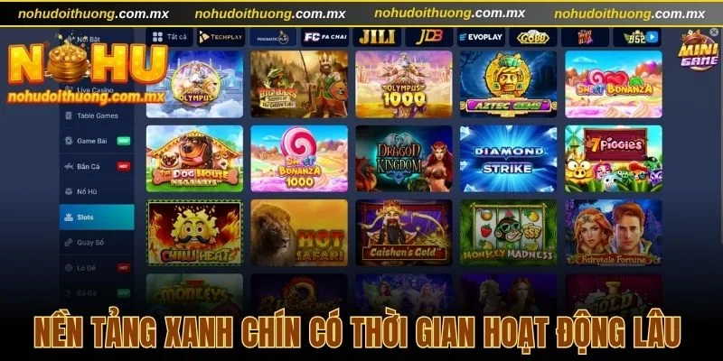 Nền tảng xanh chín có thời gian hoạt động lâu năm